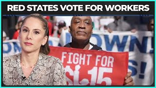 You Won't BELIEVE What Red States Voted For