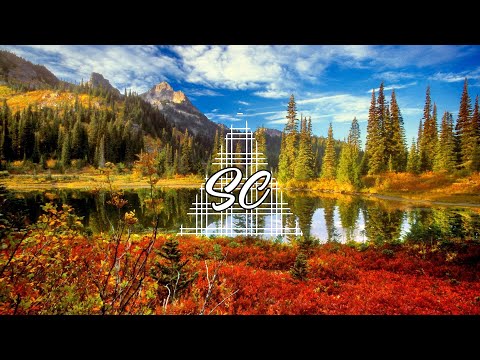 Marin Hoxha, Alban Chela, Vinsmoker - OMG (feat. Taylor Mosley) | SLAP HOUSE