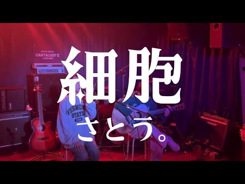 細胞／さとう。【cover】