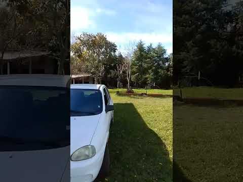 Dia muito especial,em são Martinho da serra #shorts