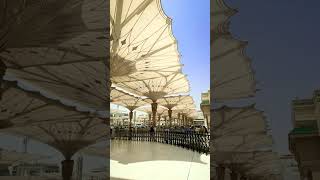 Download lagu Ya Nabi Salam Alaika || Maher zain Songs || #arabicmusic #arabicringtone #maherzaingojol #shorts mp3 Download lagu Ya Nabi Salam Alaika || Maher zain Songs || #arabicmusic #arabicringtone #maherzaingojol #shorts mp3