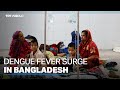 Dengue Fever Taking Toll In Bangladesh