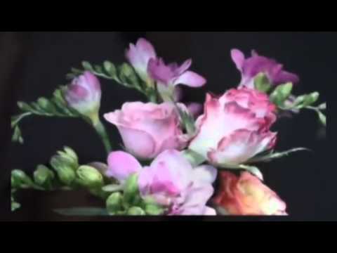 Andrzej Pawlewicz   Wyspa Ptakow