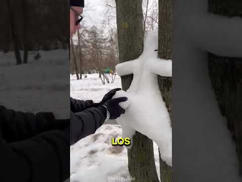 Minecraft Cabane dans l'ARBRE NOOB vs PRO vs HACKER