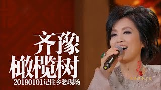 齐豫 - 橄榄树 1080P（20190101记住乡愁）