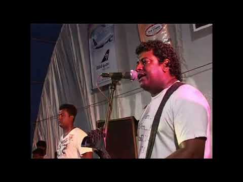 Sunflower Nonstop (2010)