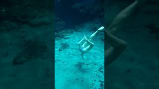preview picture of video 'Ginnie Springs 2018(5)'