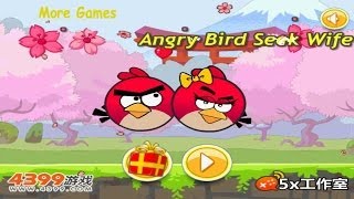 Play Angry Bird Seek Wife - Gameplay
