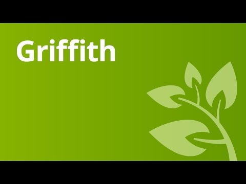 Versuche mit Baktieren - das Griffith-Experiment | Biologie | Genetik und Entwicklungsbiologie