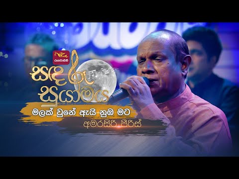 Malak Une Ai Numba Mata| මලක් වුනේ ඇයි නුඹ මට| Amarasiri Peiris | Sandaru Suyamaya | @RooTunes