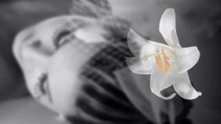 ★☾★ Kansas - DreamWeaver ★☾★