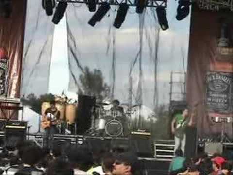 Javo Muñoz. Disforia live gigs compilation.