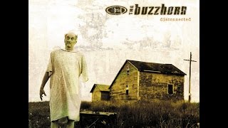 The Buzzhorn - Ordinary (Letra en Español)