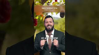 ט"ו בשבט שמח🤩  מה המסר בחג הזה? הרב יעקב שווי (ארגון ערכים) - התמונה מוצגת ישירות מתוך אתר האינטרנט יוטיוב. זכויות היוצרים בתמונה שייכות ליוצרה. קישור קרדיט למקור התוכן נמצא בתוך דף הסרטון