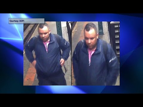 NYC Jackson Heights Subway Station Attack
