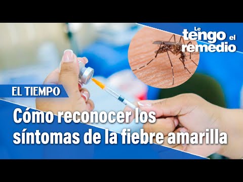 ¿Qué es la fiebre amarilla? Aprenda a identificarla y prevenirla | Le tengo el remedio