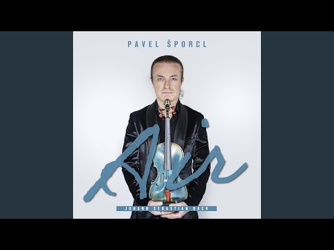 J.S. Bach: Concerto for Violin & Oboe in D Minor, BWV 1060R: II. Adagio