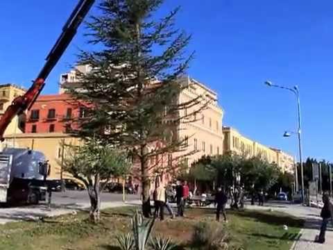 AGRIGENTO: PIAZZA STAZIONE, ECCO L’ALBERO DI NATALE ALTO 25 METRI