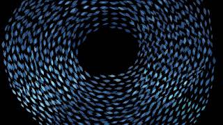 Laura Veirs - Lightning Rod