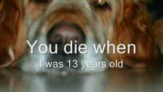 Sarah Dawn Finer - I Remember Love