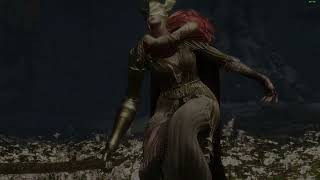 Re: [法環] 水鳥亂舞的追尾是不是改強了