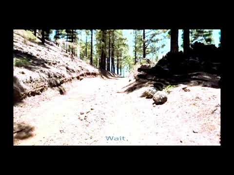 Ladada - Wait I Am (Official Video)