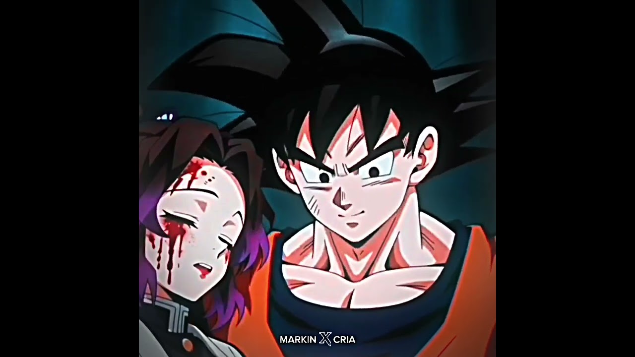 GOKU SALVA SHINOBU EDIT