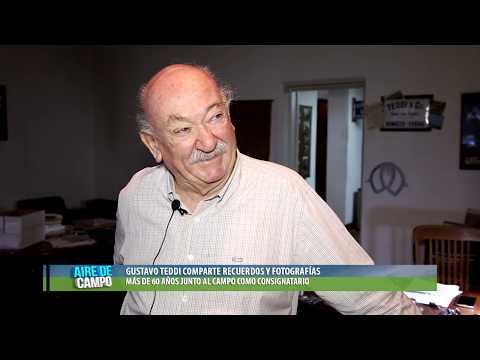 LA HISTORIA DE LA CONSIGNATARIA TEDDI EN BAHIA BLANCA.