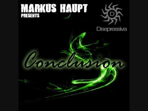// MARKUS HAUPT - CONCLUSION
