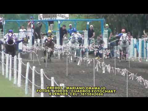 Geronimo vs Soñador vs Perfecta vs Vigata (Hipico Campin - Leales - Tucumán