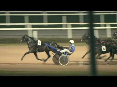 2019.11.09. 06. futam - CSANTAVÉRI DÍJ