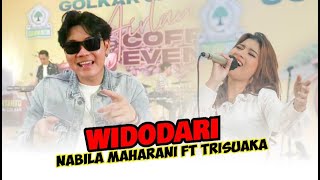 Download lagu WIDODARI - NABILA MAHARANI FT TRISUAKA PECAH | KONSER #GOLKARJATIMASYIK mp3