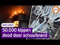 Discussie na SCHUURBRAND waar 50.000 KIPPEN bij omkwamen