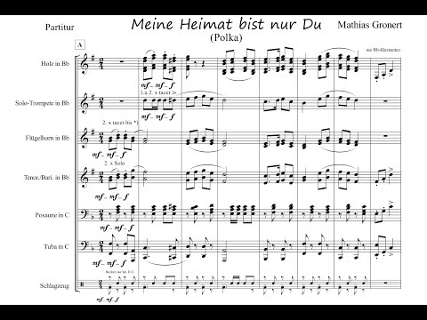 Meine Heimat bist nur Du - Polka von Mathias Gronert (Offizielles Video)