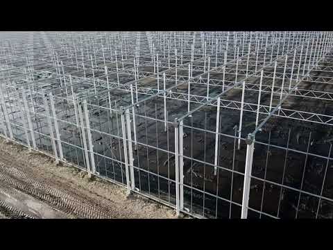 Genson Quality Plants - Someren