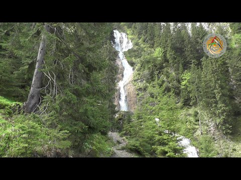 Zöld Erdélyben jártam (előzetes)