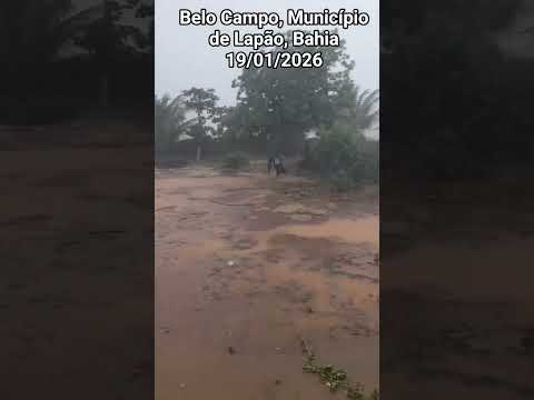 🇧🇷 BELO CAMPO, MUNICÍPIO DE LAPÃO BAHIA 19/01/2026 #chuvas #sitio #vidanaroça #vidanaroça #fazenda