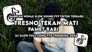Download lagu DJ TRESNO TEKAN MATI X PAMET RABI SLOW REVERB WENAK VIRAL TIKTOK FULL SONG mp3