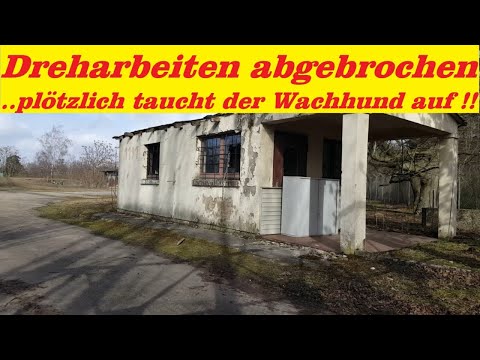 Lost Place - Ehemalige Rheinau - Kaserne im Süden Mannheims - Jetzt ein artenreiches LSG