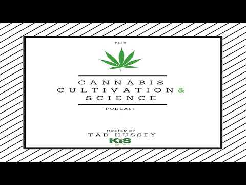 Episode 93: The Science of Breeding Cannabis with Ryan Lee