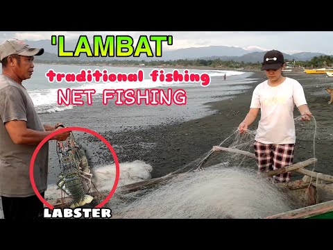 LAMBAT  | TRADITIONAL FISHING | CATCH AND COOK
