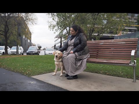 A história dos cães-guia de Olivia e Jemima para PETstock Assist