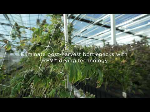 Extraction Protocol - Cannabis Innovation Centre - EnWave