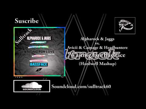 Waiting For Bassface (Hardwell Tomorrowland Mashup)