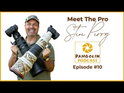 Meet The Pro: Steve Perry