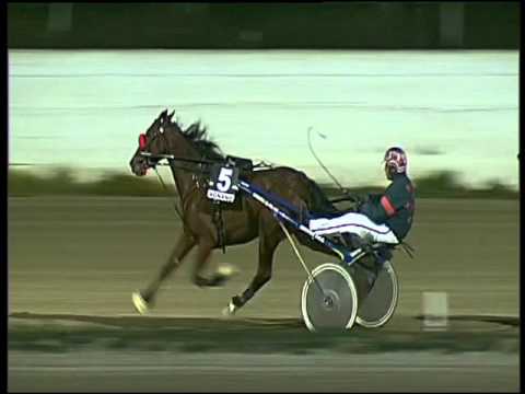 Trotto 31/12/2015 - 6° corsa