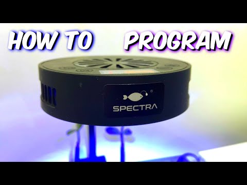 Spectra Aqua Knight V2 | How To PROGRAM * Your Coral Light Timer - A1A Adventures