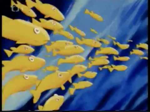 Bananove rybicky jak prezit seznameni