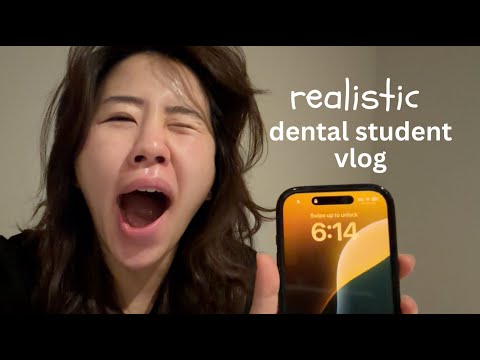 realistic dental student study vlog