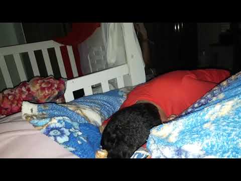 Psy gangnam (Música opaca dançar)..